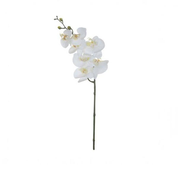 Orquídea Phale Tok Real Branca - Dom47
